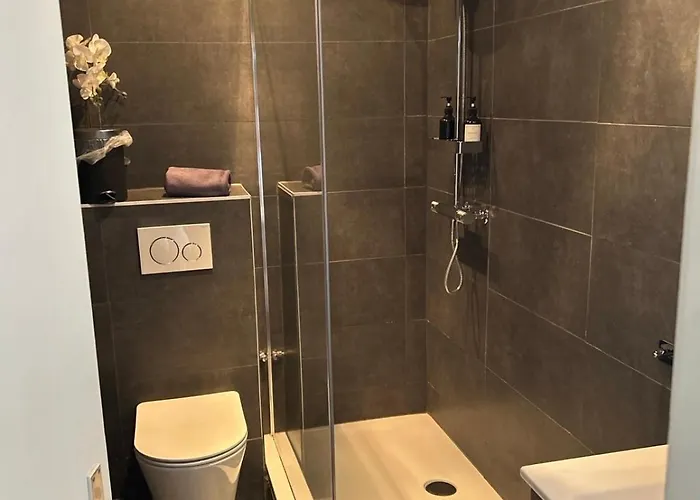 Daire Ideally Located With View Crans-Montana